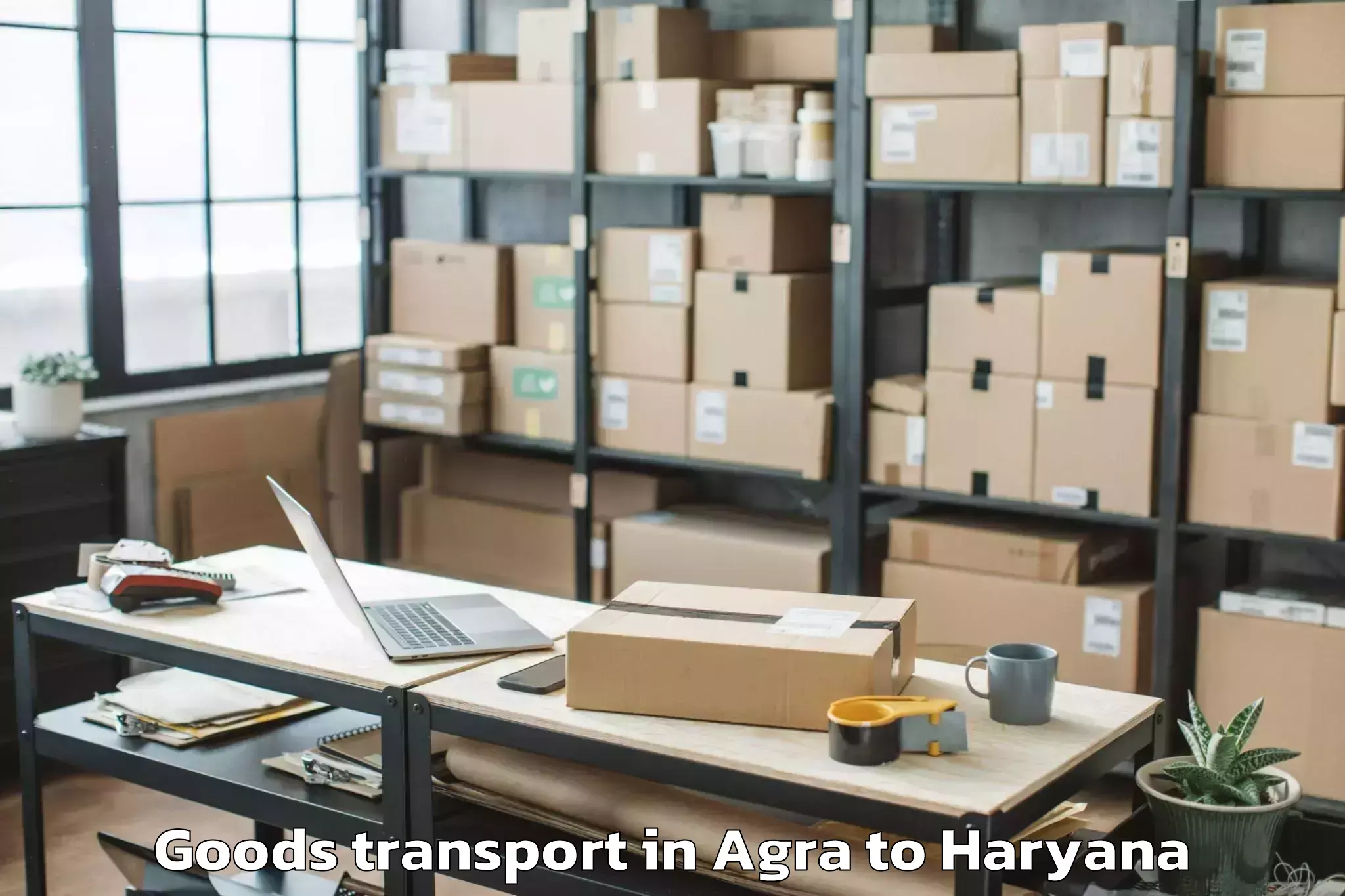 Quality Agra to Mvn University Palwal Goods Transport